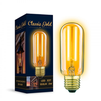 Ampoule LED Edison 2watt